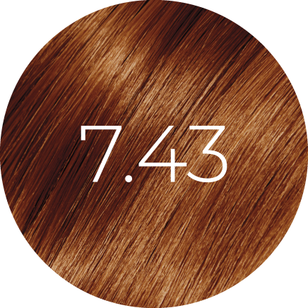 57843525124431