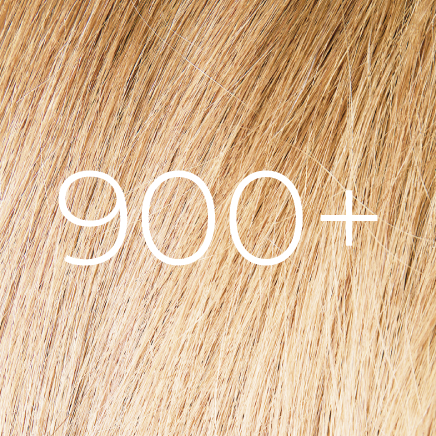 57843556581711